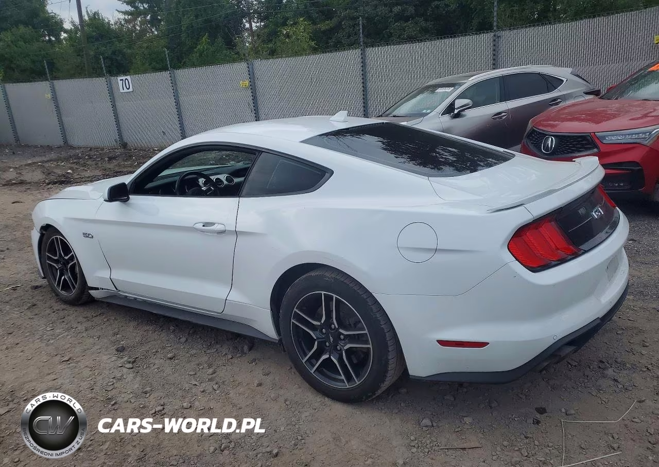 2023 Ford Mustang Gt VIN:1FA6P8CF7P5301520 - 2