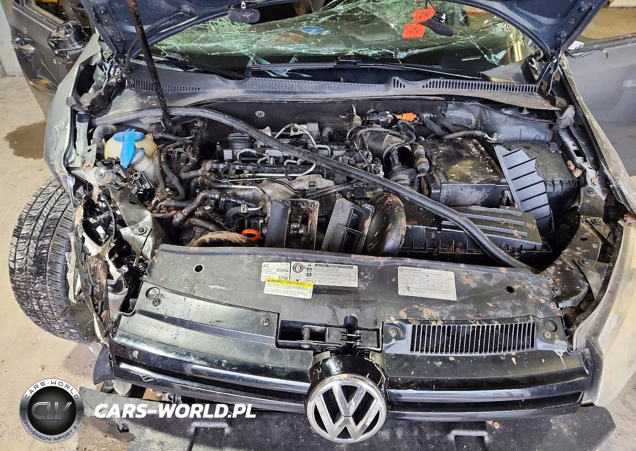 2013 Volkswagen Golf VIN:WVWNM7AJ0DW015160 - 12