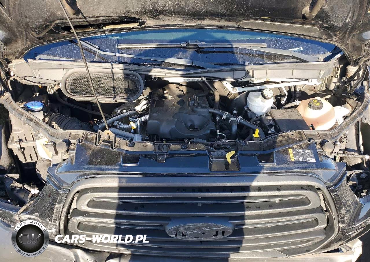 2019 Ford Transit T-250 VIN:1FTYR3XV4KKB72504 - 12