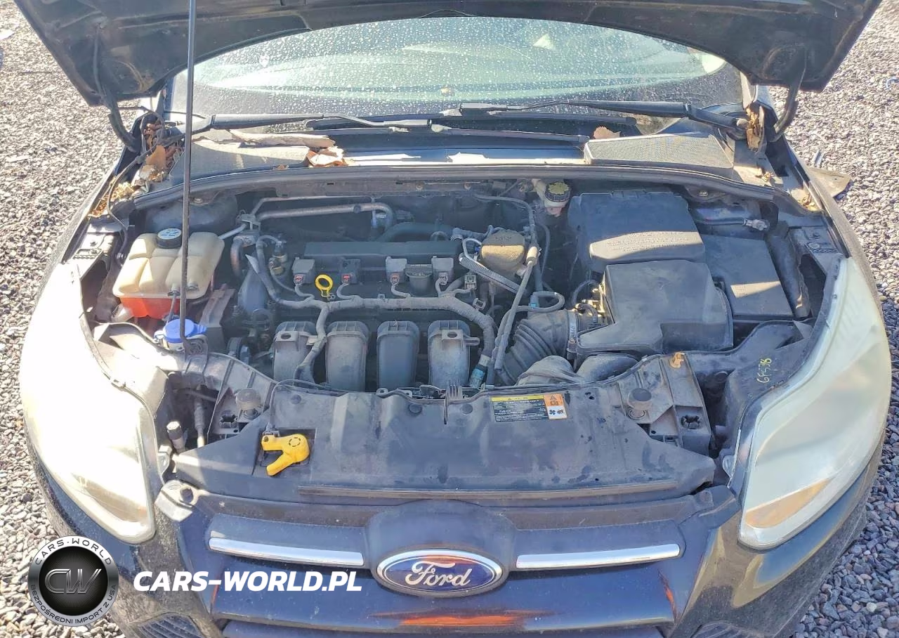 2013 Ford Focus Se VIN:1FADP3F2XDL319326 - 11