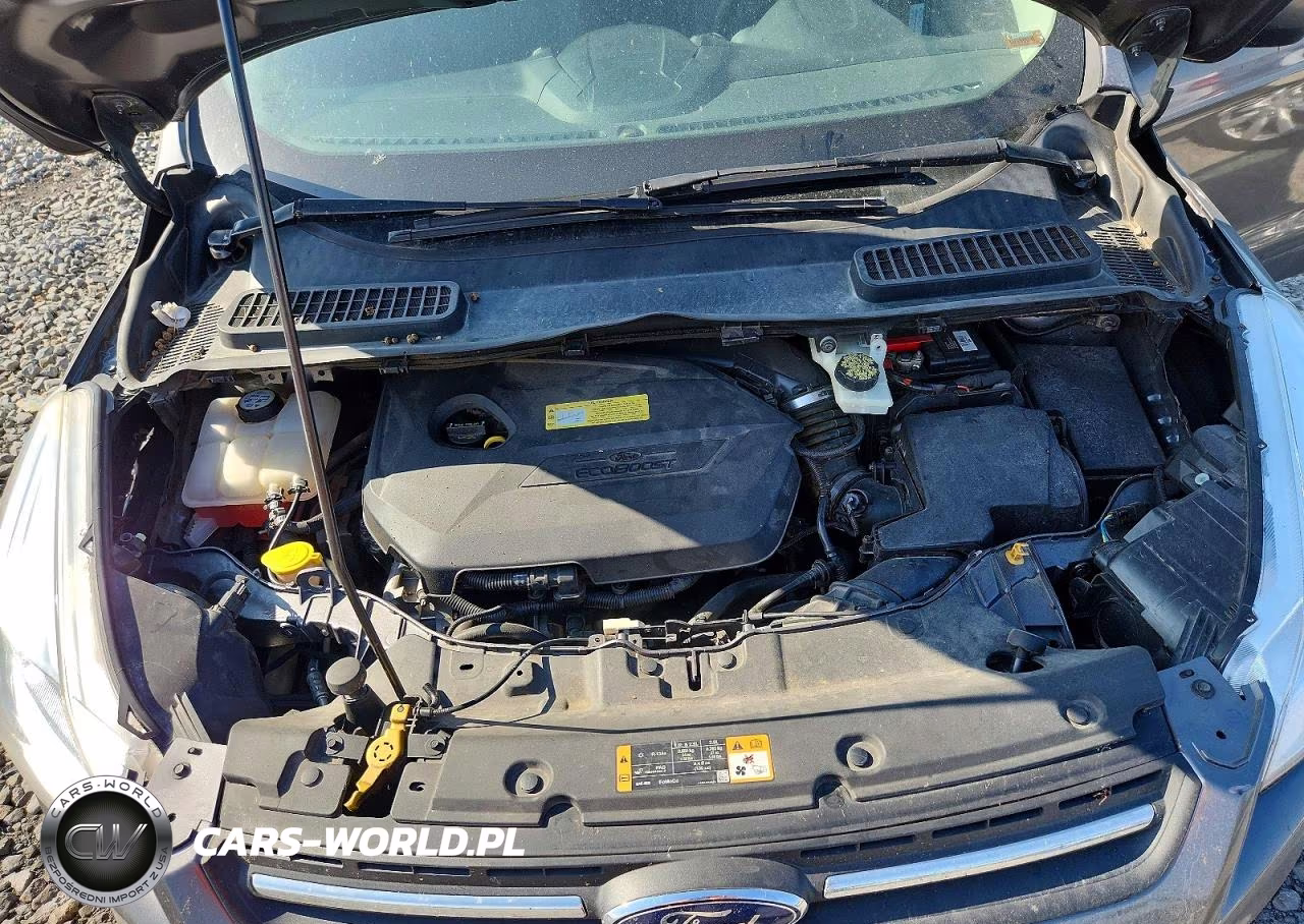 2014 Ford Escape Se VIN:1FMCU0GX6EUD10315 - 12