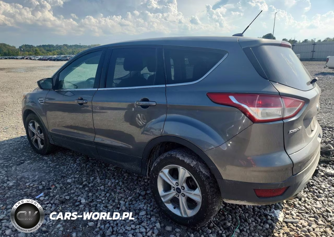 2014 Ford Escape Se VIN:1FMCU0GX6EUD10315 - 2