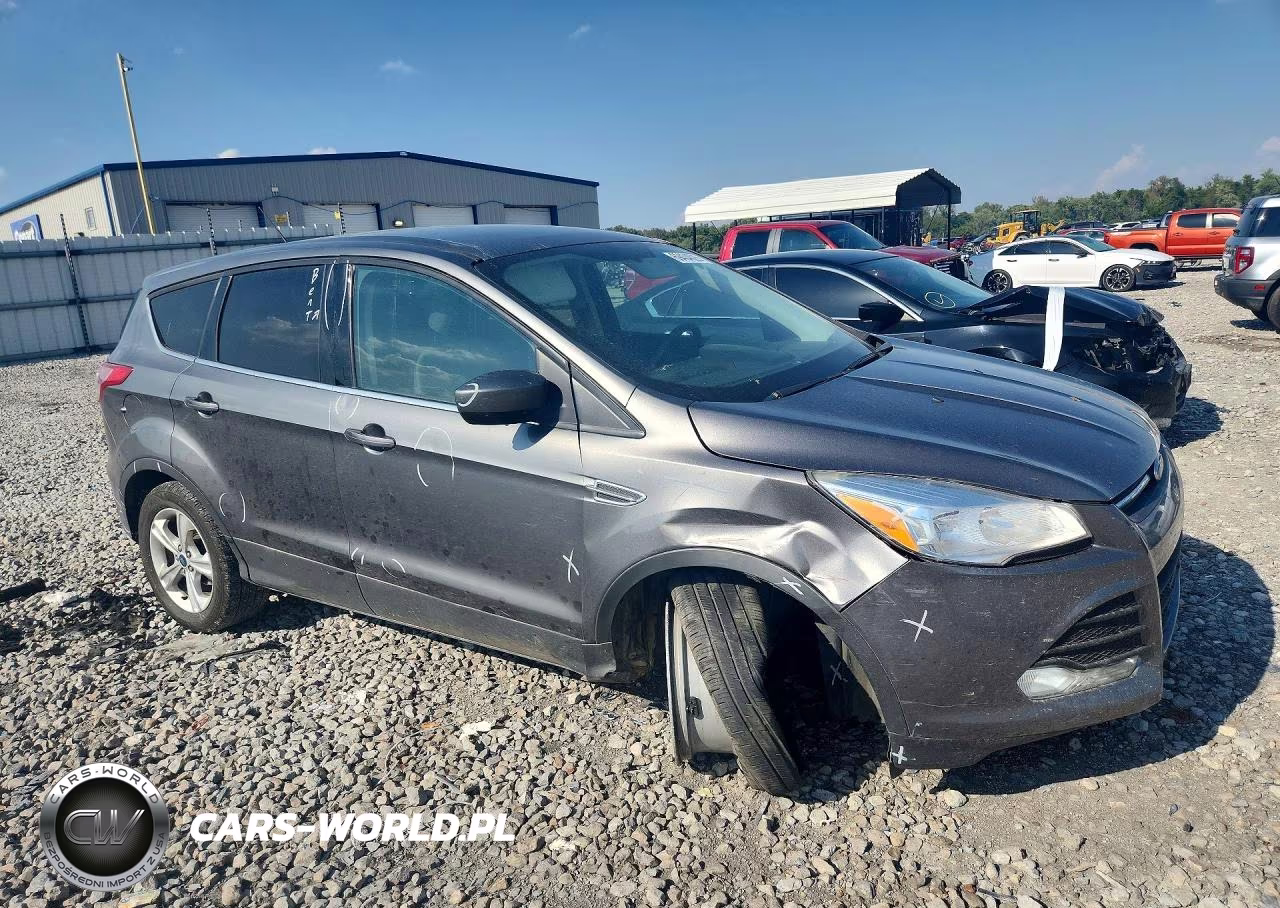2014 Ford Escape Se VIN:1FMCU0GX6EUD10315 - 4