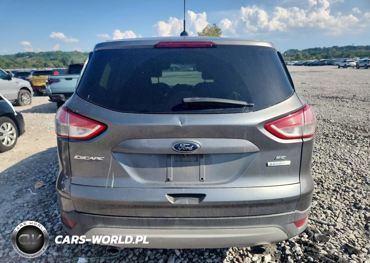 2014 Ford Escape Se VIN:1FMCU0GX6EUD10315 - 6