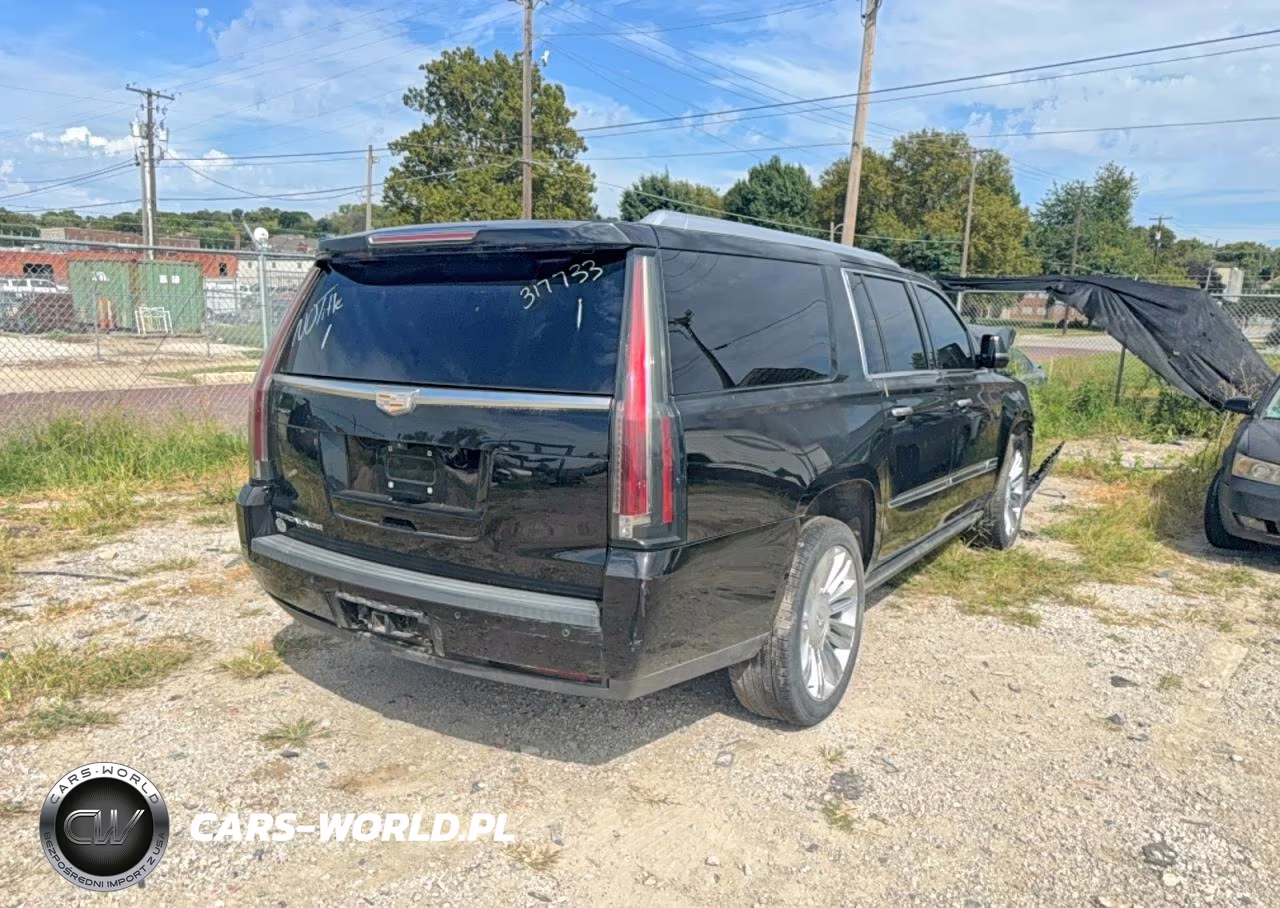 2017 Cadillac Escalade Esv Platinum VIN:1GYS3KKJ0HR317733 - 4