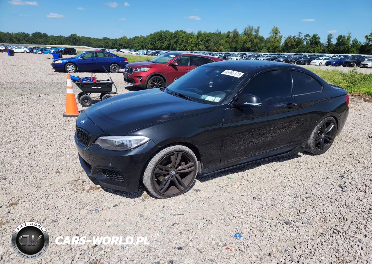 2014 BMW 228 I VIN:WBA1F5C56EVW98158 - 1