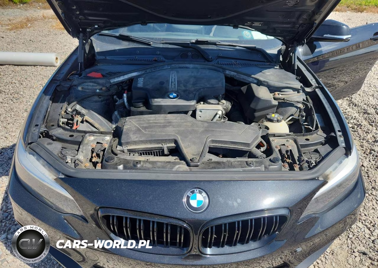 2014 BMW 228 I VIN:WBA1F5C56EVW98158 - 11
