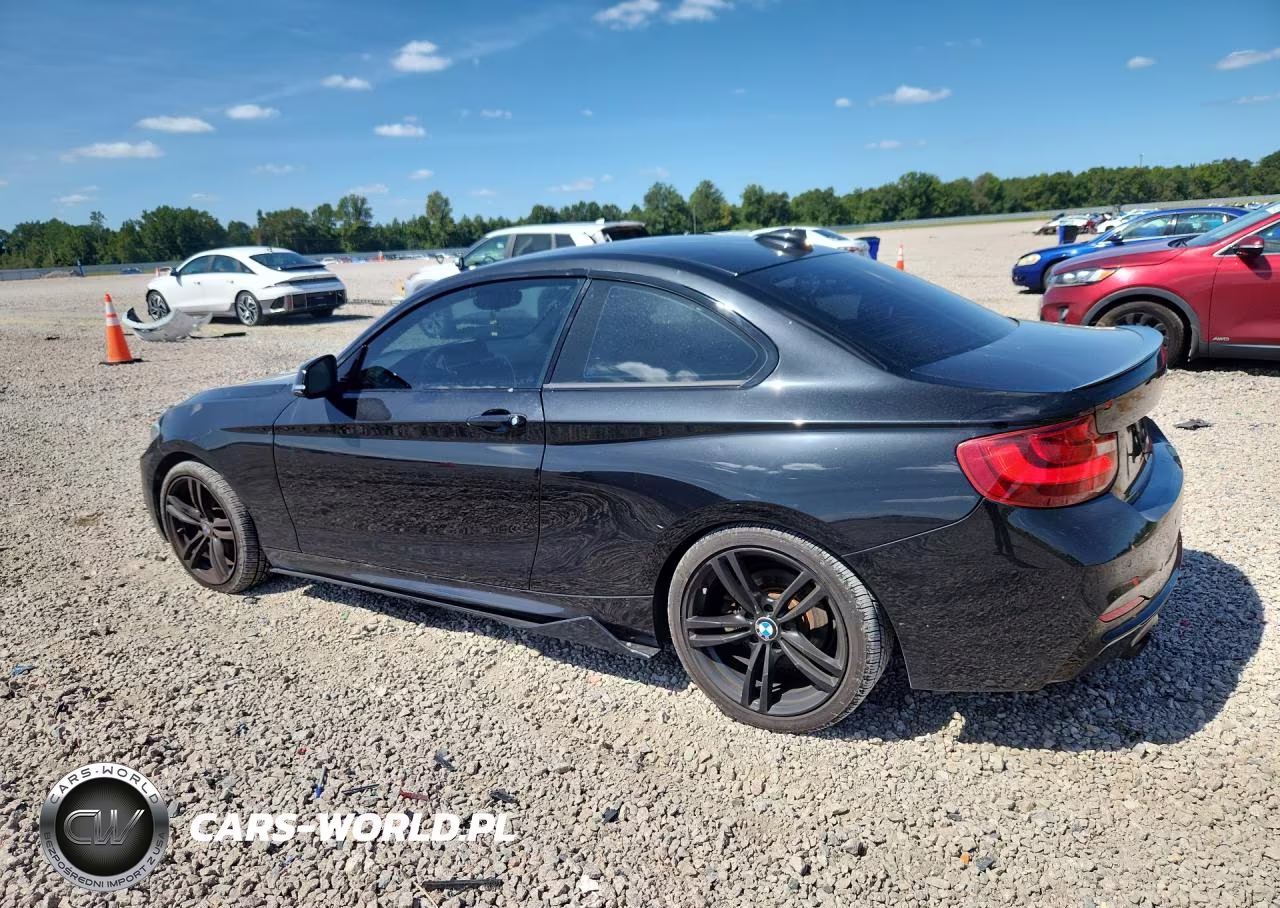 2014 BMW 228 I VIN:WBA1F5C56EVW98158 - 2