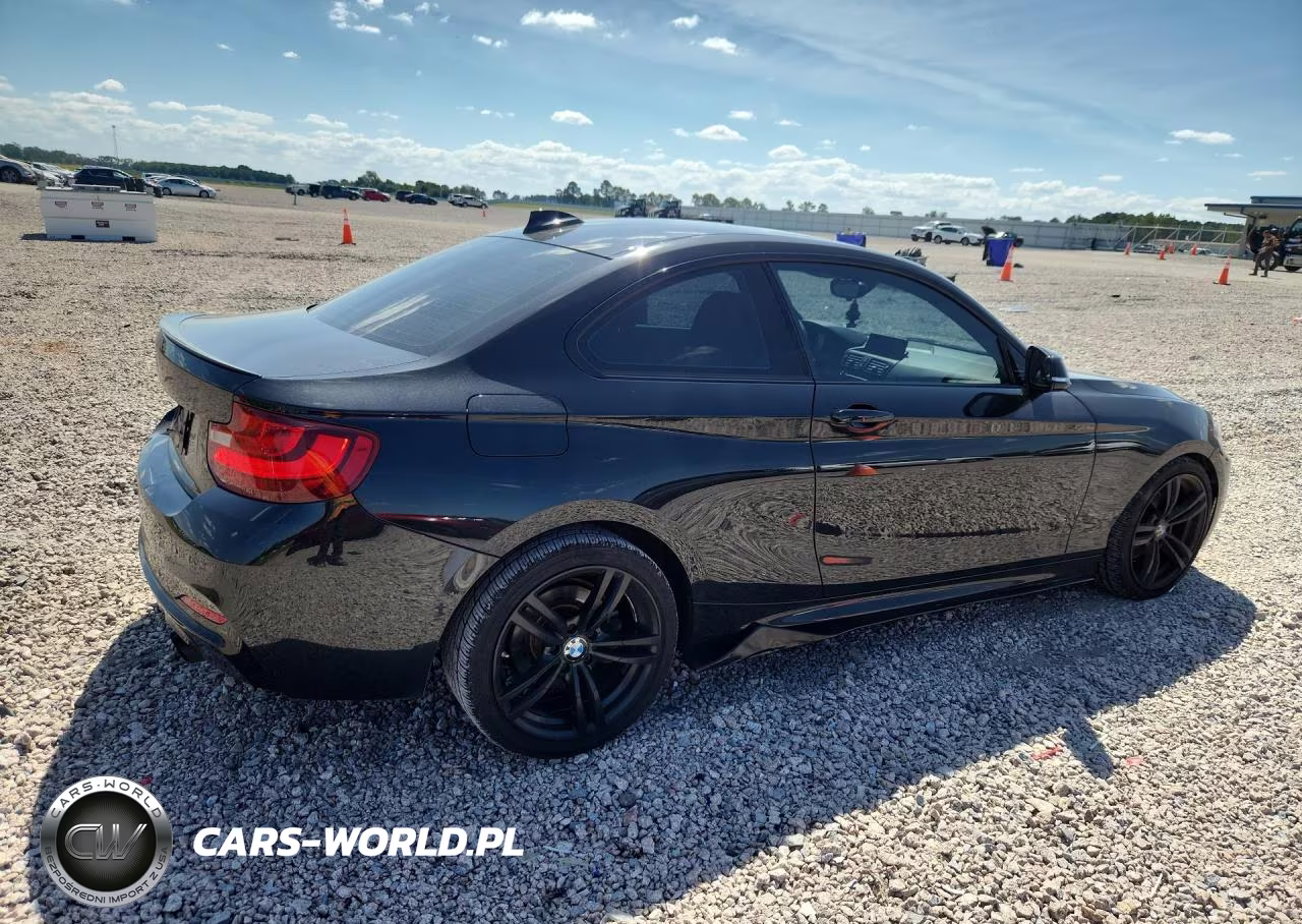 2014 BMW 228 I VIN:WBA1F5C56EVW98158 - 3