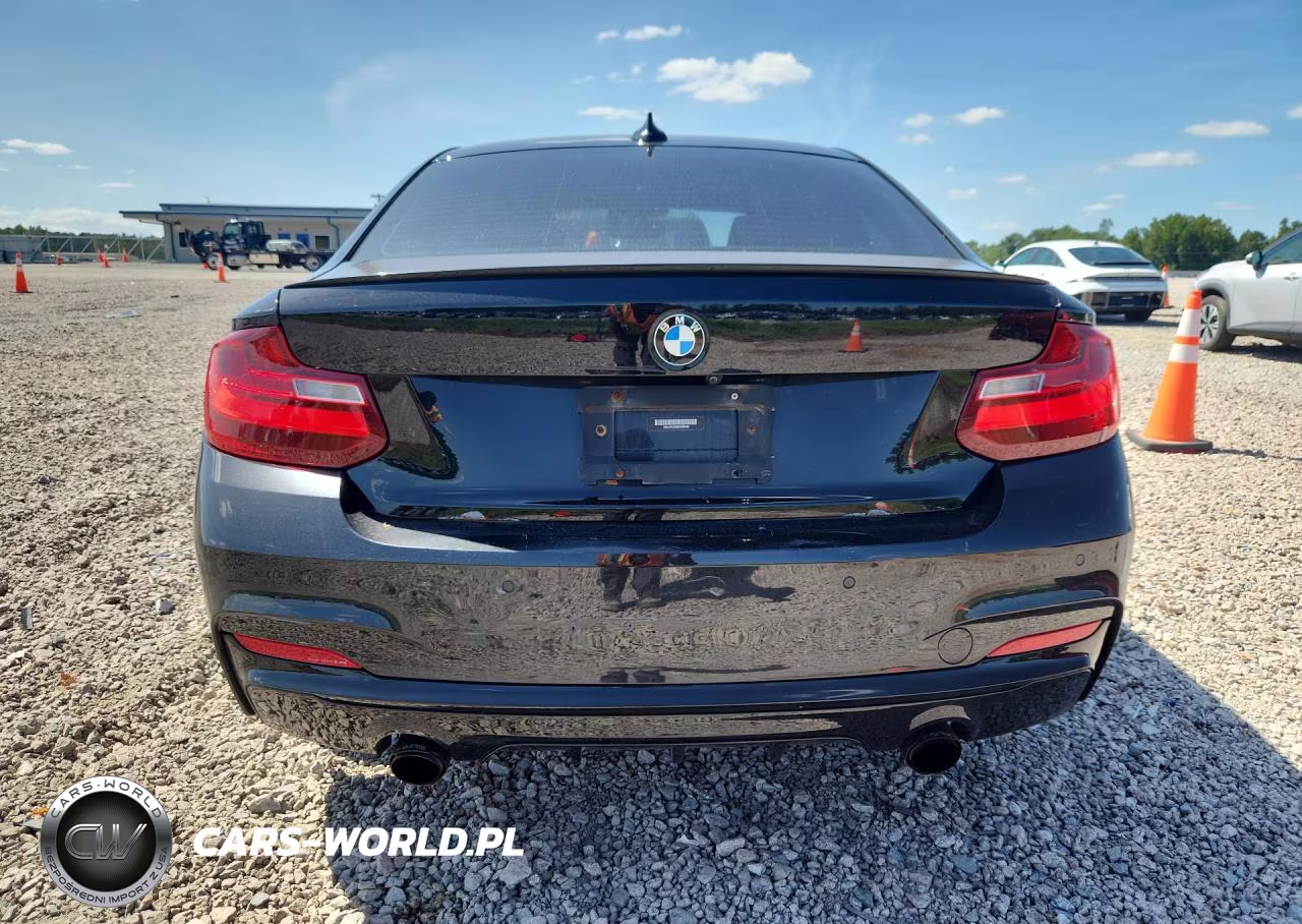 2014 BMW 228 I VIN:WBA1F5C56EVW98158 - 6