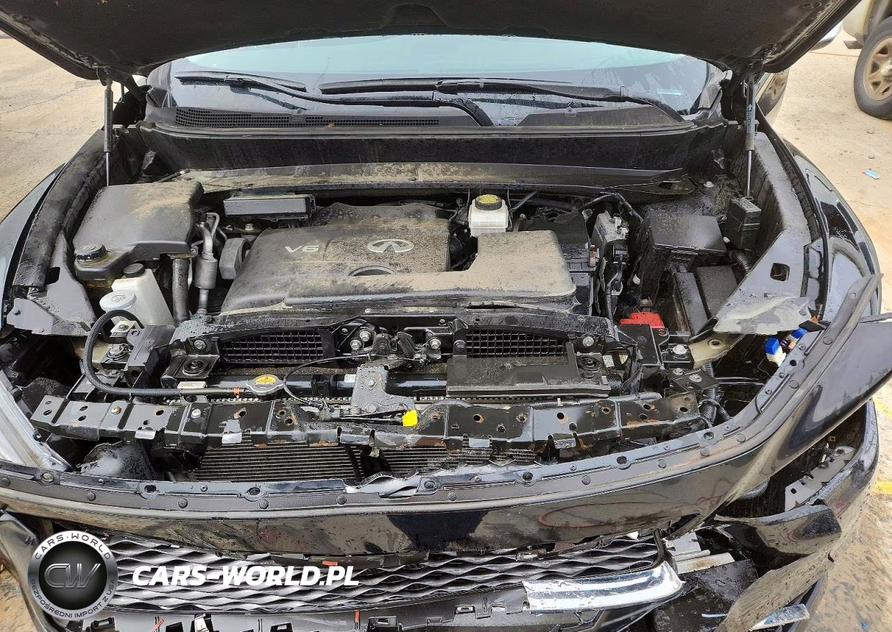 2019 Infiniti Qx60 Pure VIN:5N1DL0MM6KC566084 - 12