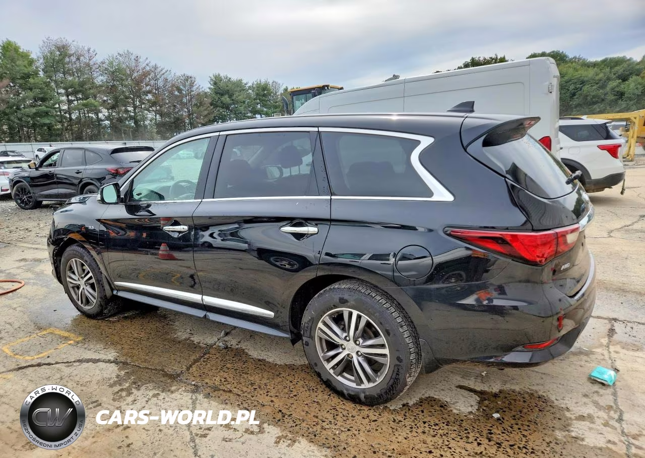 2019 Infiniti Qx60 Pure VIN:5N1DL0MM6KC566084 - 2