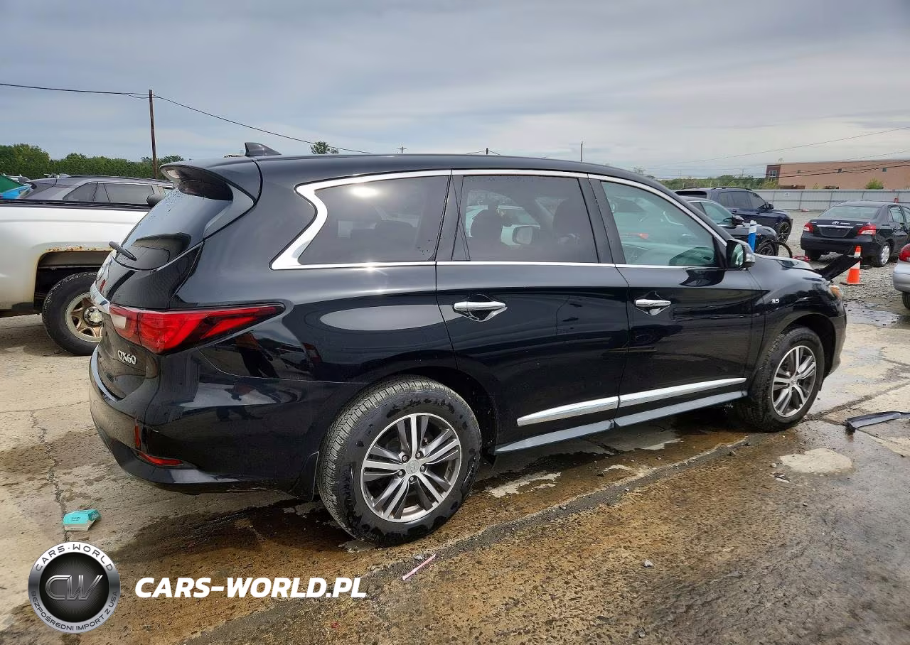 2019 Infiniti Qx60 Pure VIN:5N1DL0MM6KC566084 - 3
