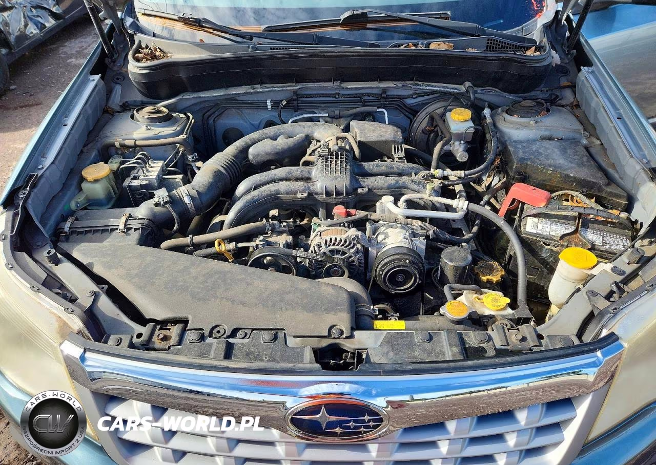 2011 Subaru Forester 2.5X Premium VIN:JF2SHADC0BH738169 - 12