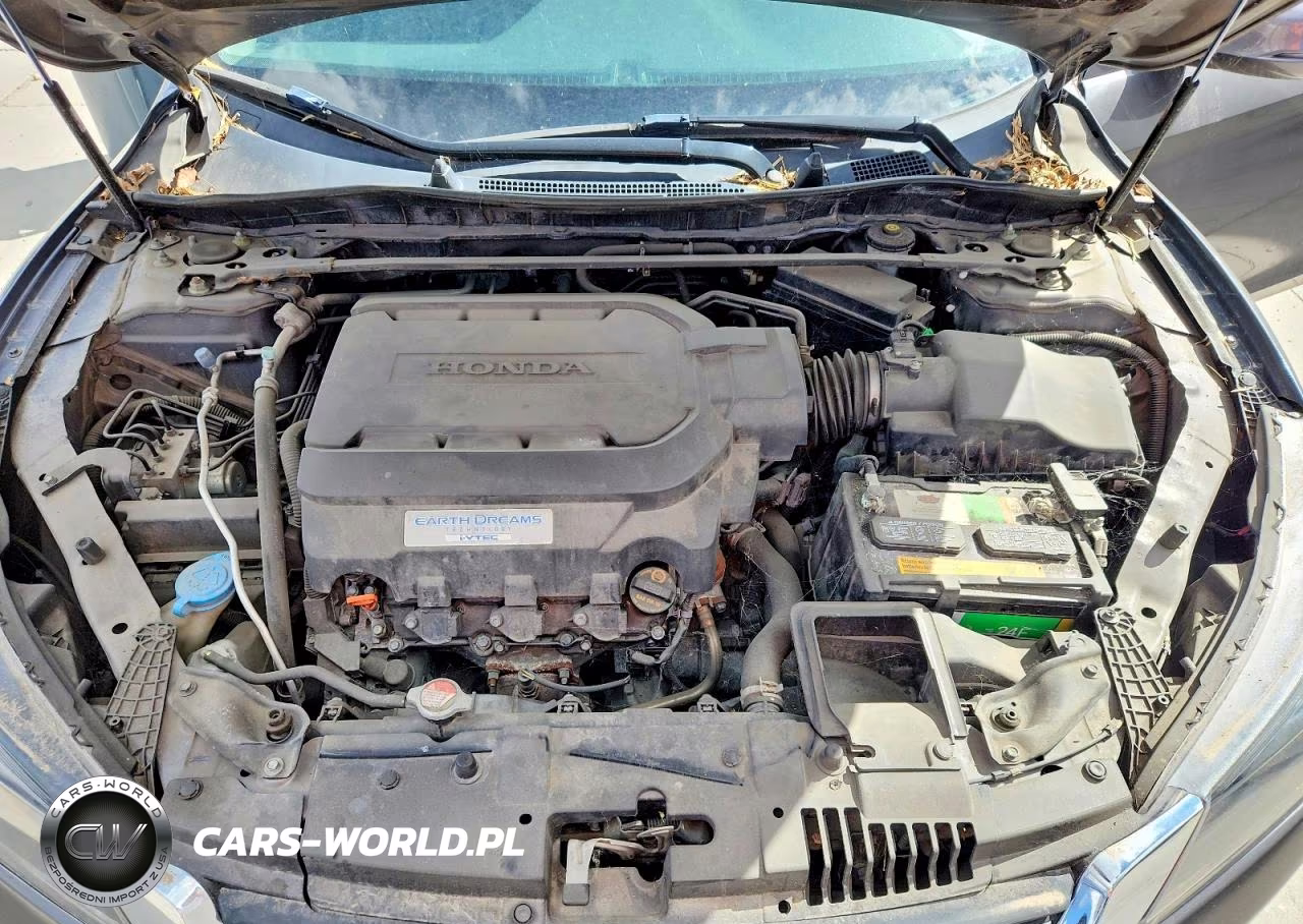 2013 Honda Accord Exl VIN:1HGCR3F85DA012843 - 11