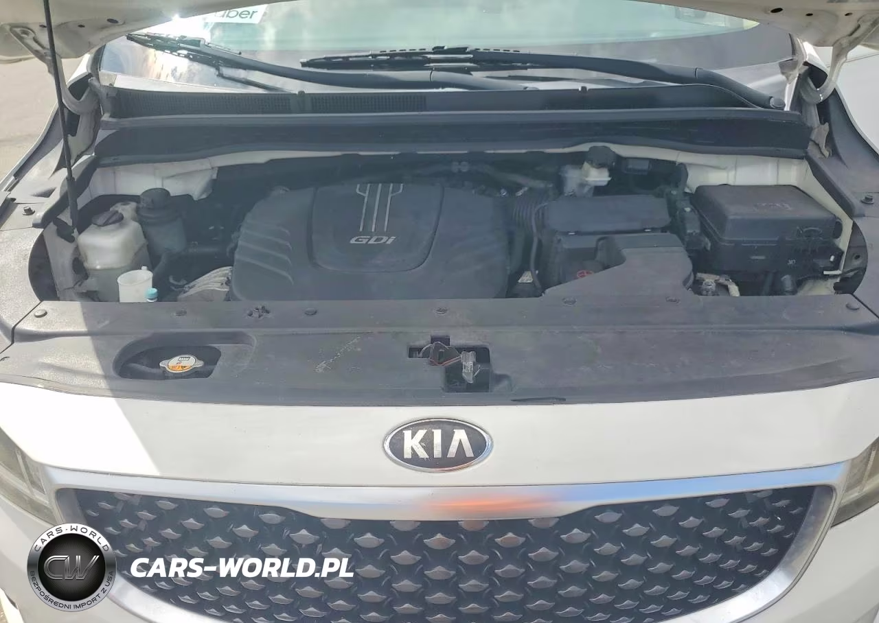 2015 Kia Sedona Lx VIN:KNDMB5C11F6050621 - 12