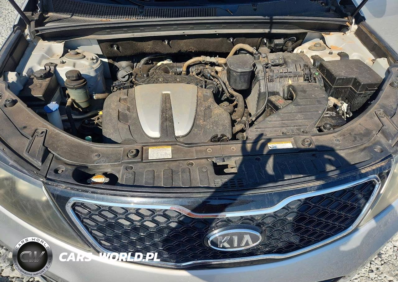 2011 Kia Sorento Sx VIN:5XYKW4A29BG160163 - 12
