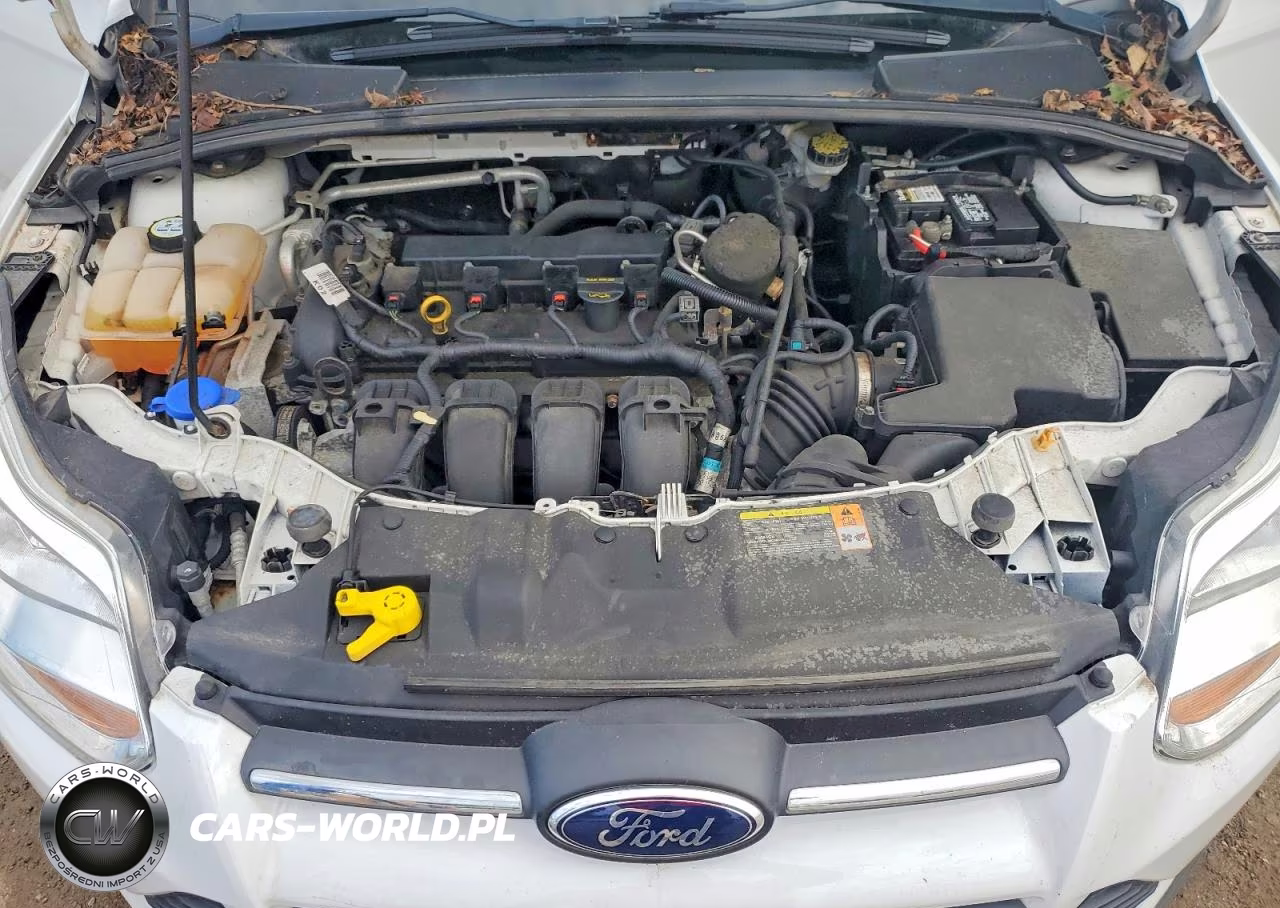 2013 Ford Focus S VIN:1FADP3E2XDL149907 - 11