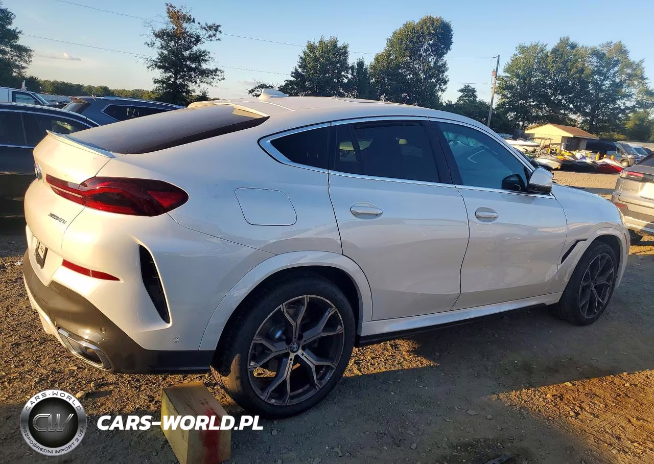 2023 BMW X6 xDrive40I VIN:5UXCY6C05P9N80158 - 3
