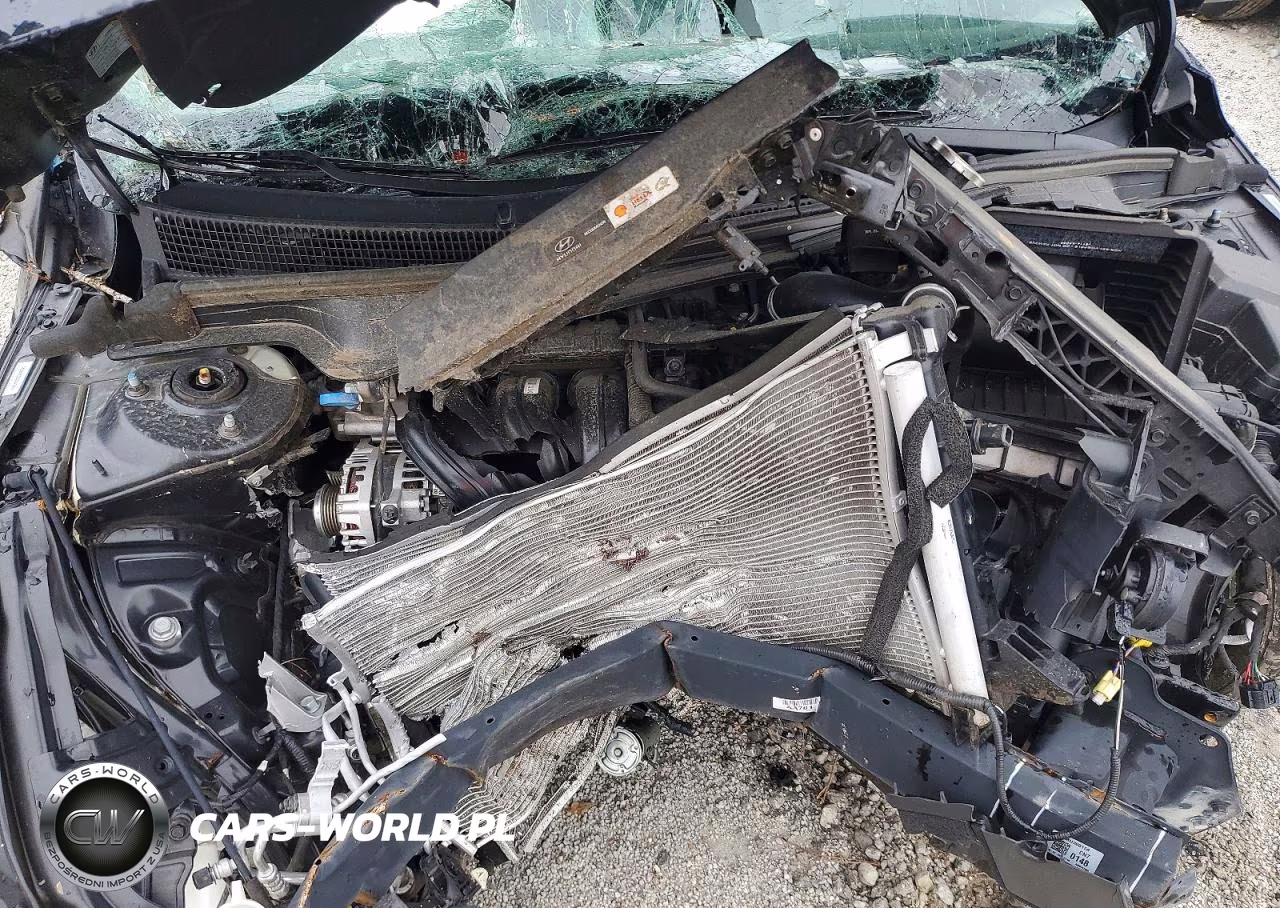 2025 Hyundai Elantra Sel Sport VIN:KMHLM4DG8SU066741 - 11