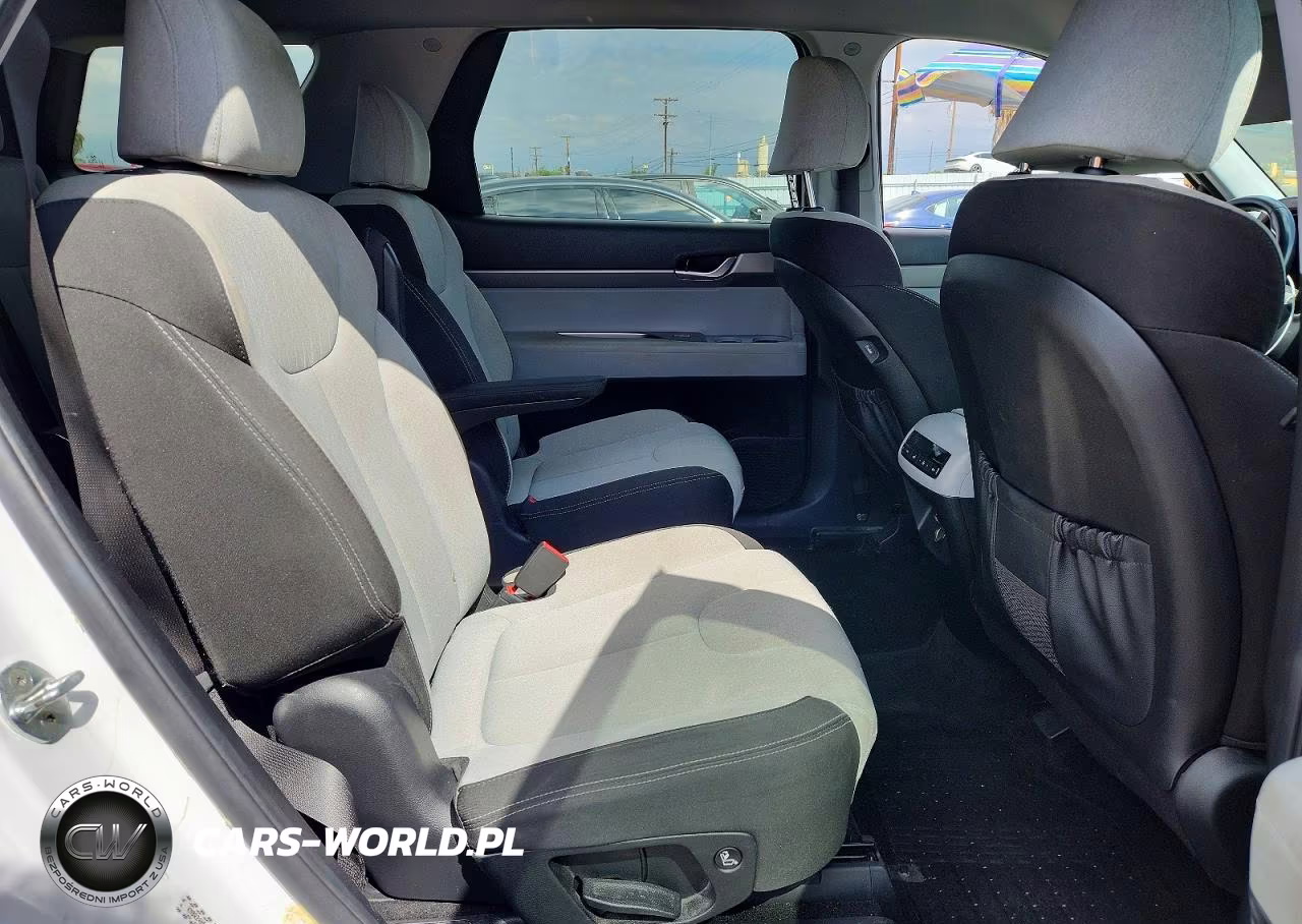 2020 Hyundai Palisade Sel VIN:KM8R24HE4LU043533 - 11
