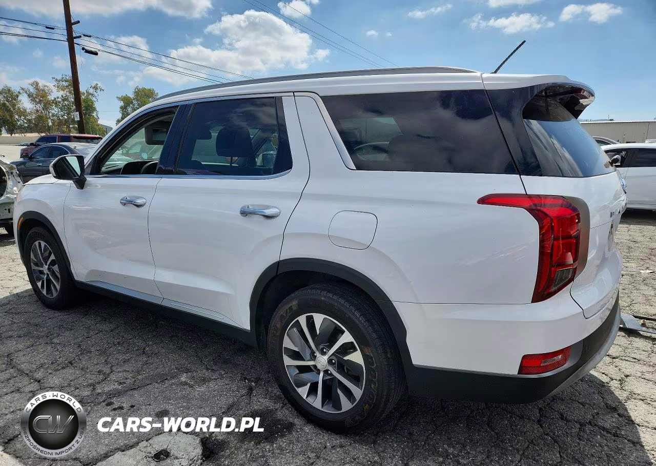 2020 Hyundai Palisade Sel VIN:KM8R24HE4LU043533 - 2