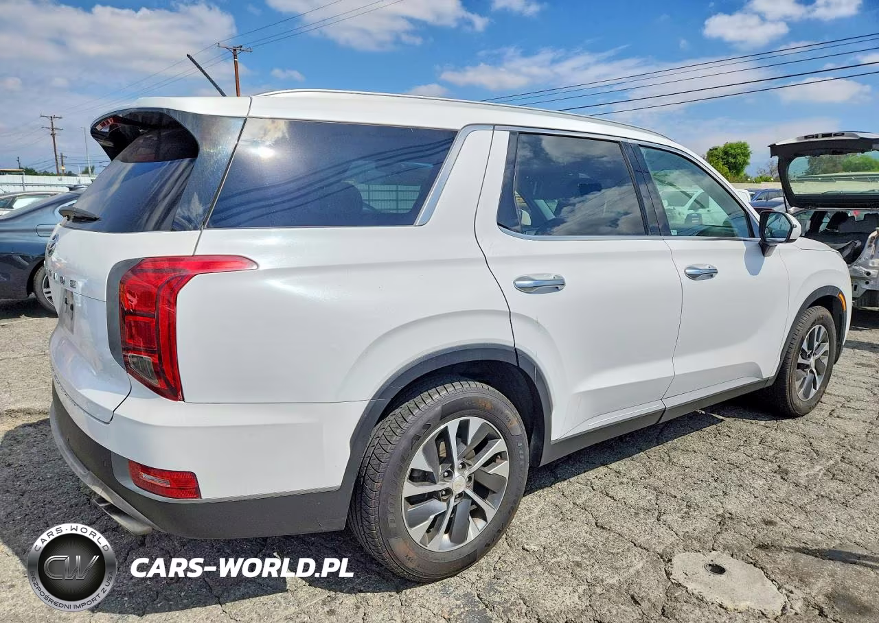 2020 Hyundai Palisade Sel VIN:KM8R24HE4LU043533 - 3