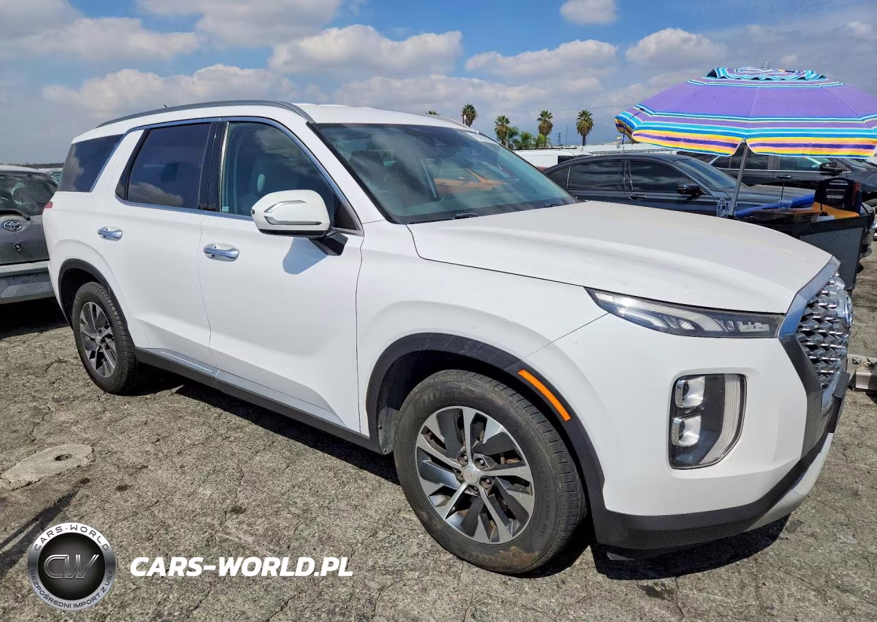 2020 Hyundai Palisade Sel VIN:KM8R24HE4LU043533 - 4