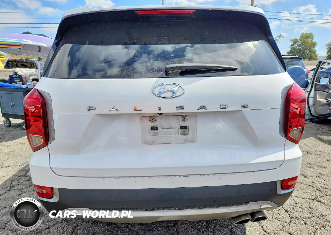 2020 Hyundai Palisade Sel VIN:KM8R24HE4LU043533 - 6