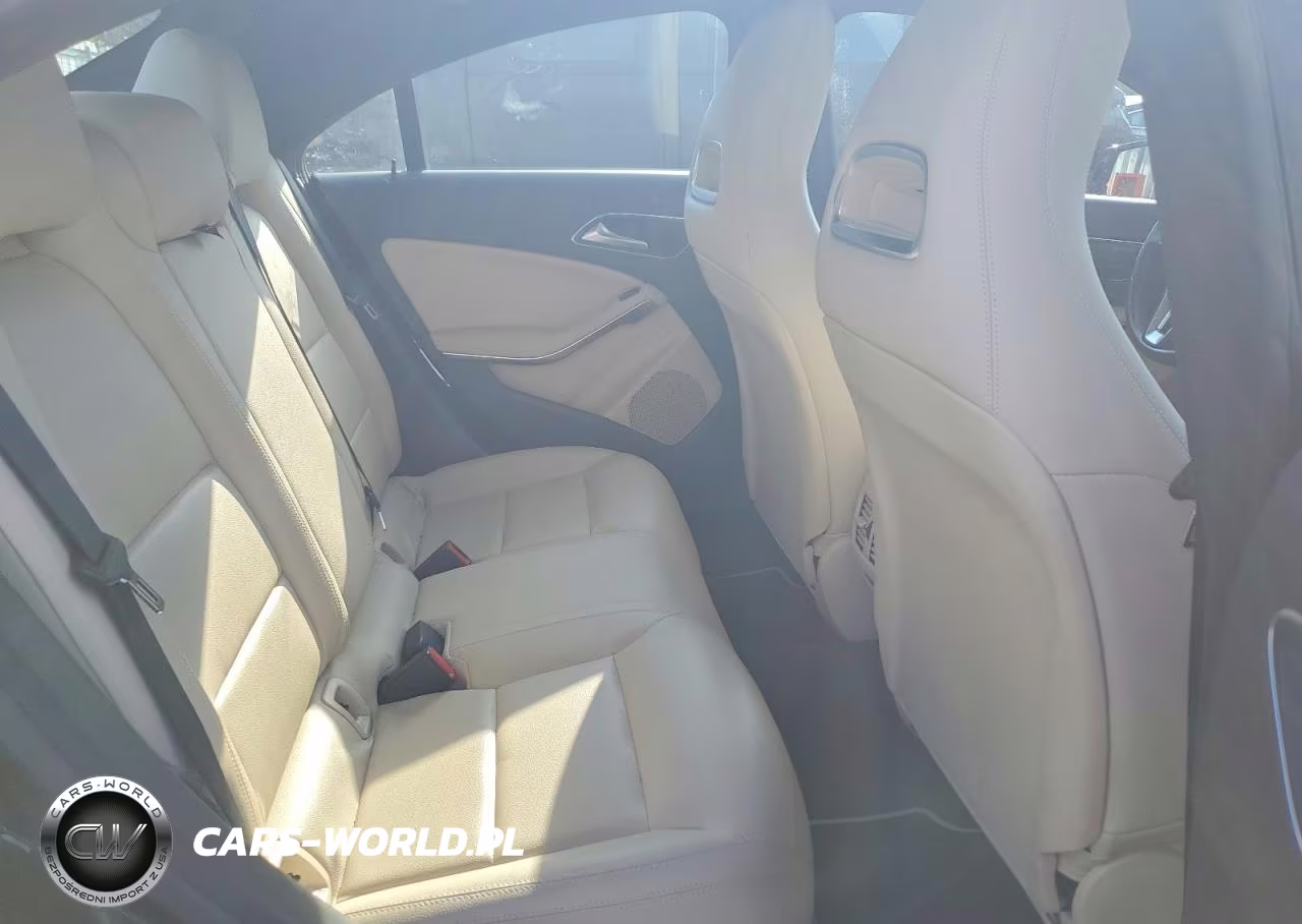 2014 Mercedes-Benz Cla 250 VIN:WDDSJ4EB3EN085987 - 10
