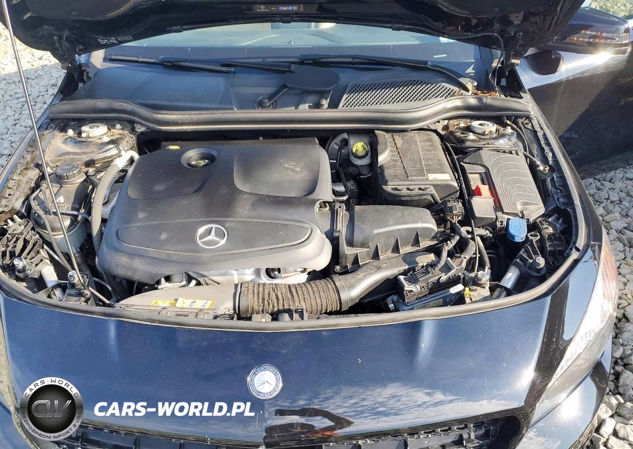 2014 Mercedes-Benz Cla 250 VIN:WDDSJ4EB3EN085987 - 11