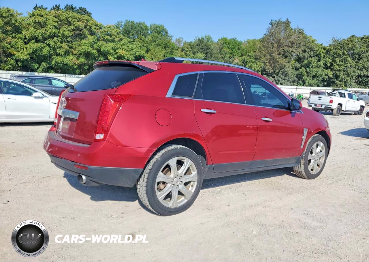 2010 Cadillac Srx Performance Collection VIN:3GYFNBEY6AS643656 - 3
