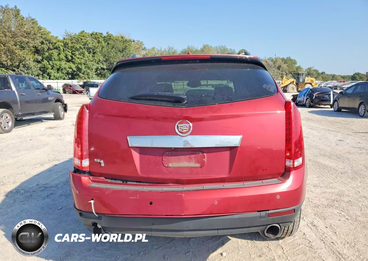 2010 Cadillac Srx Performance Collection VIN:3GYFNBEY6AS643656 - 6