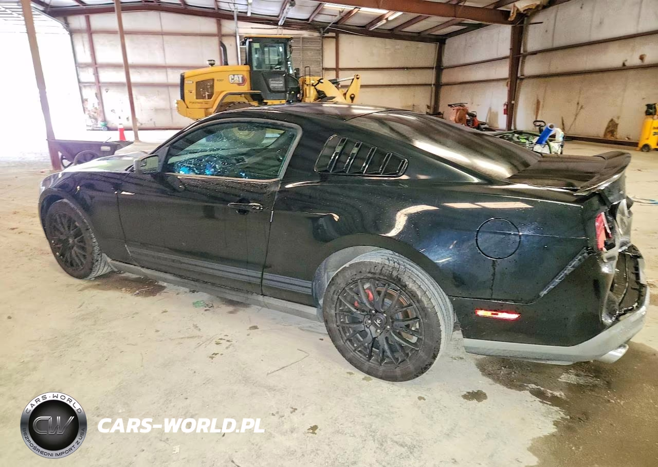 2011 Ford Mustang VIN:1ZVBP8AM8B5146427 - 2