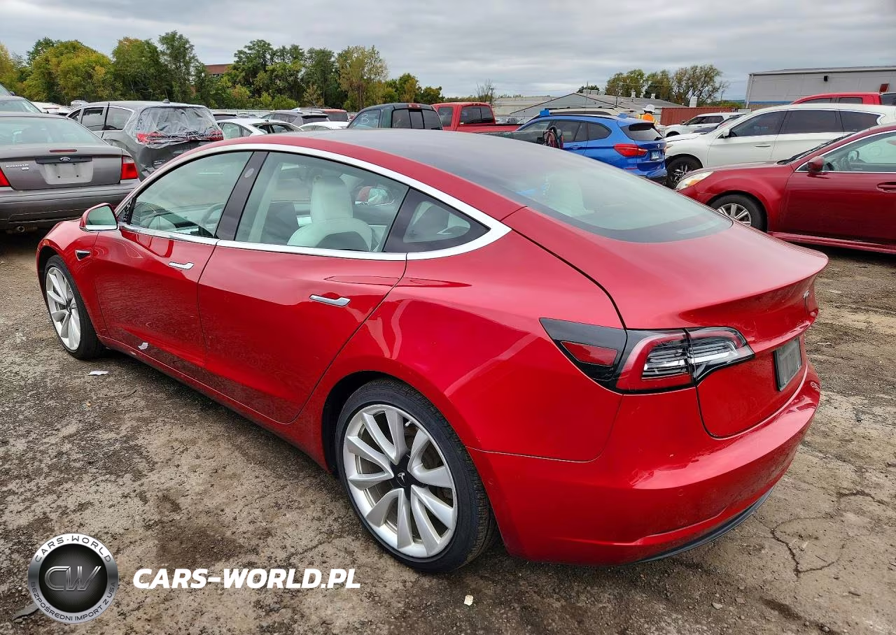 2019 Tesla Model 3 VIN:5YJ3E1EB1KF391789 - 2