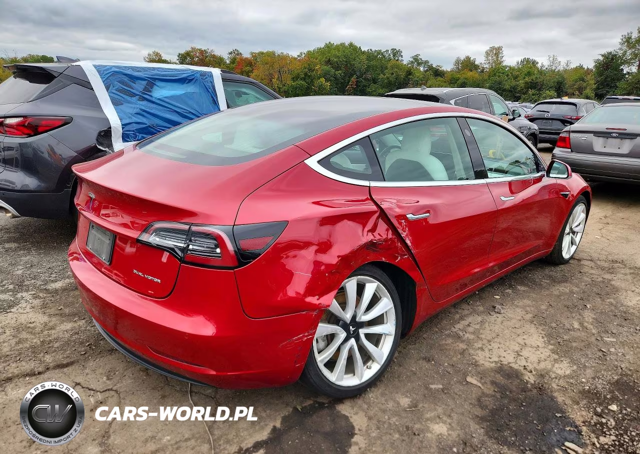 2019 Tesla Model 3 VIN:5YJ3E1EB1KF391789 - 3