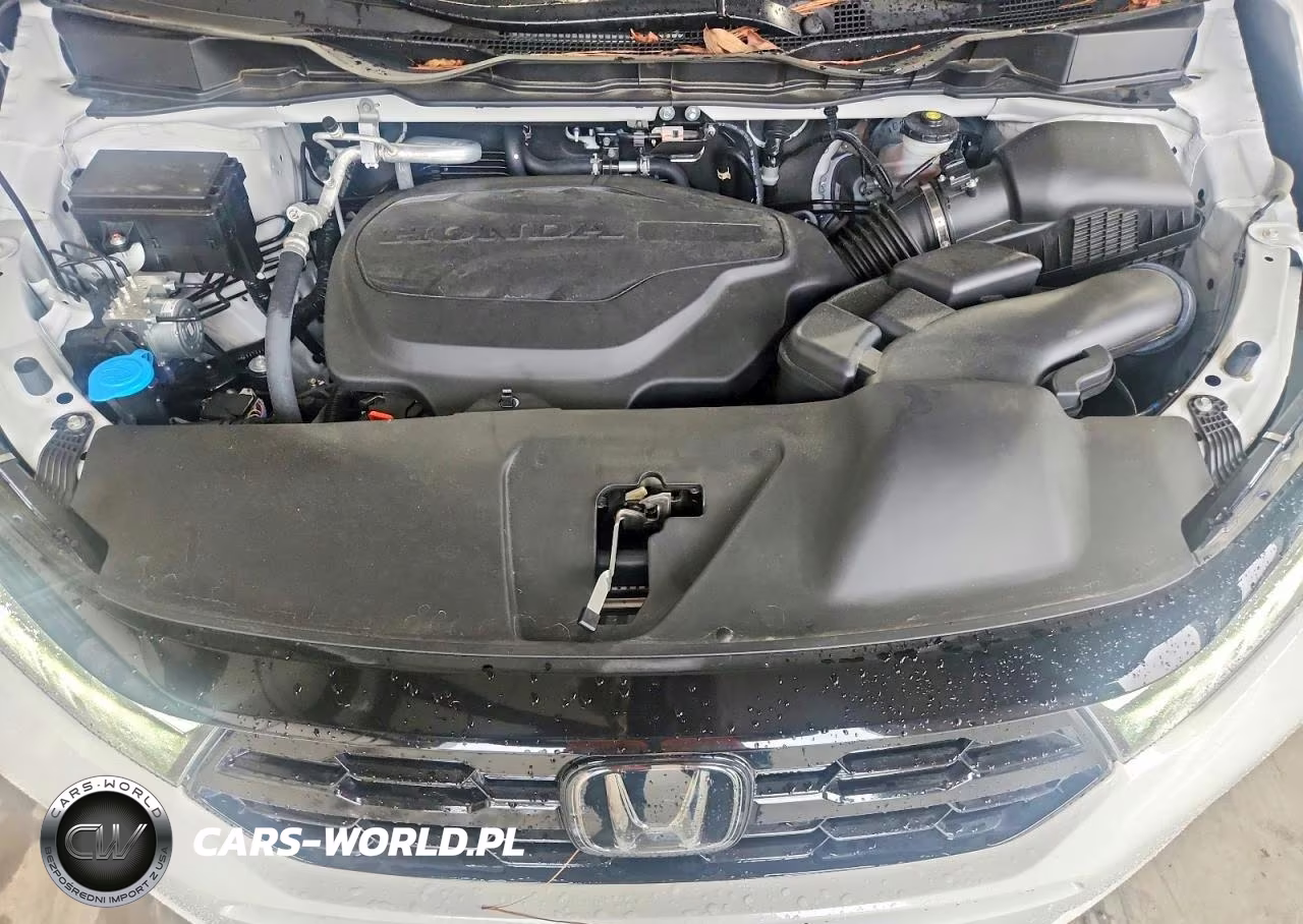 2026 Honda Odyssey Elite VIN:5FNRL6H97TB049979 - 12