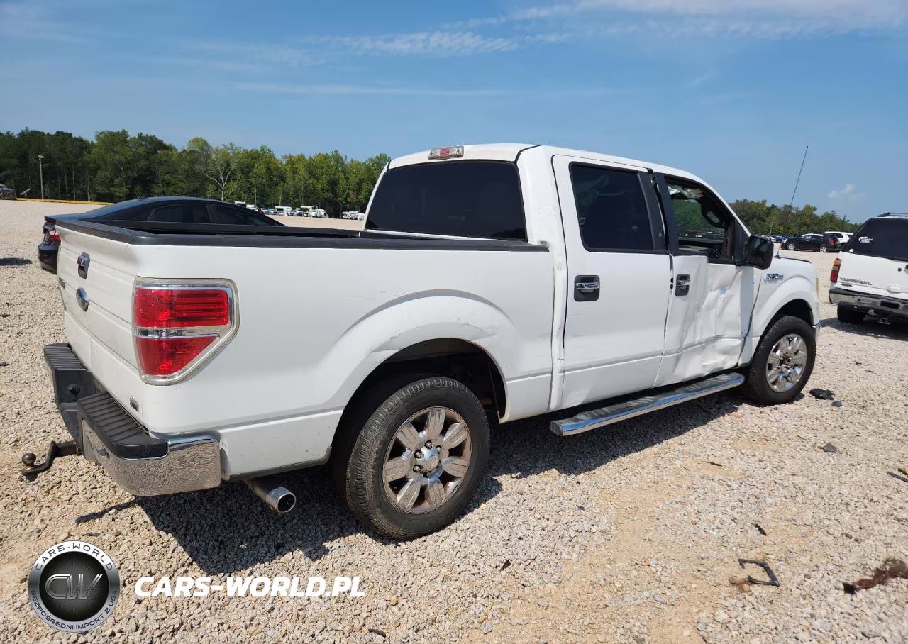 2010 Ford F150 Supercrew VIN:1FTFW1CV1AFD02045 - 3