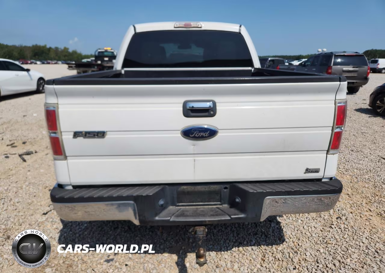 2010 Ford F150 Supercrew VIN:1FTFW1CV1AFD02045 - 6