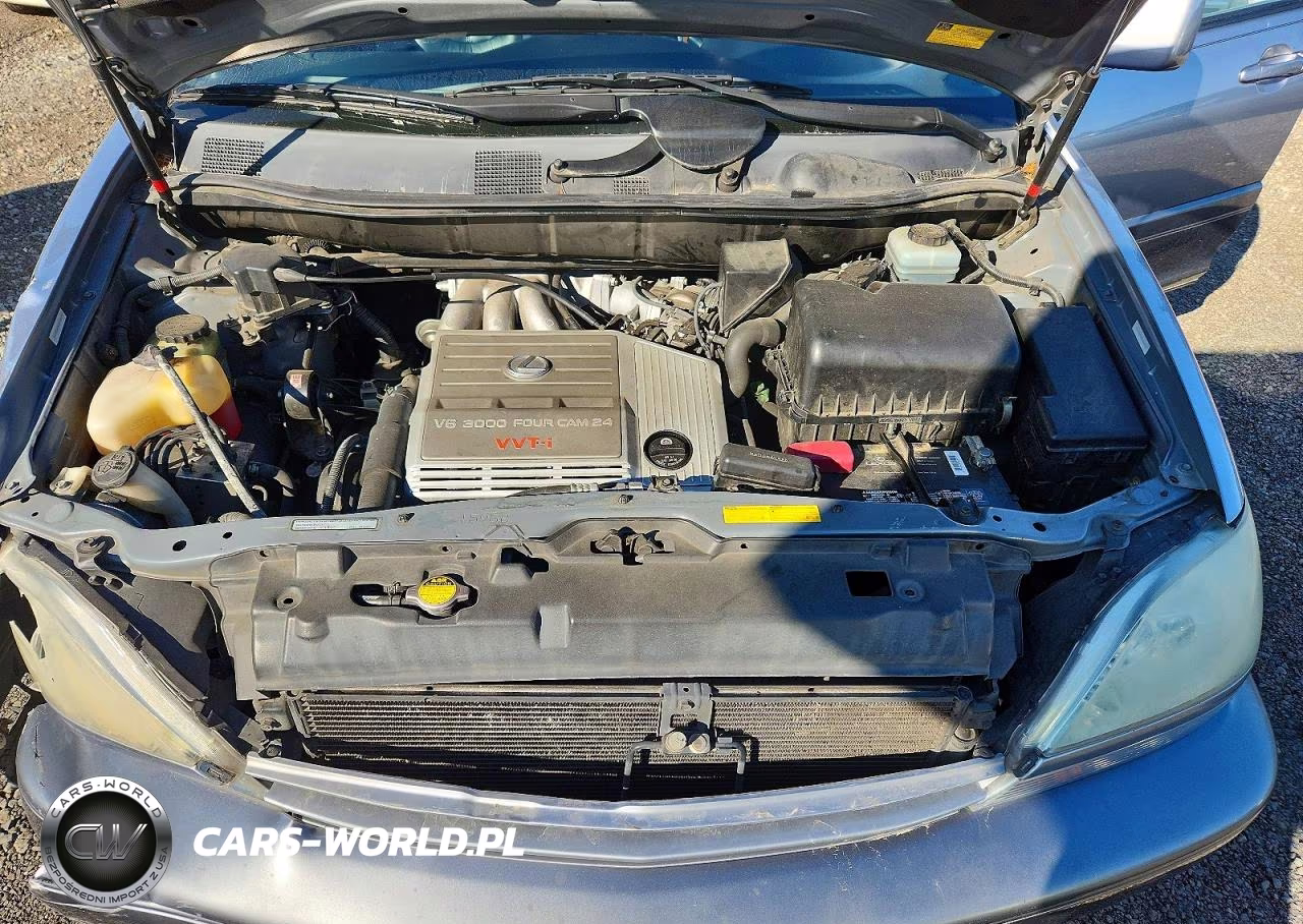 2001 Lexus Rx 300 VIN:JTJHF10U610200924 - 12