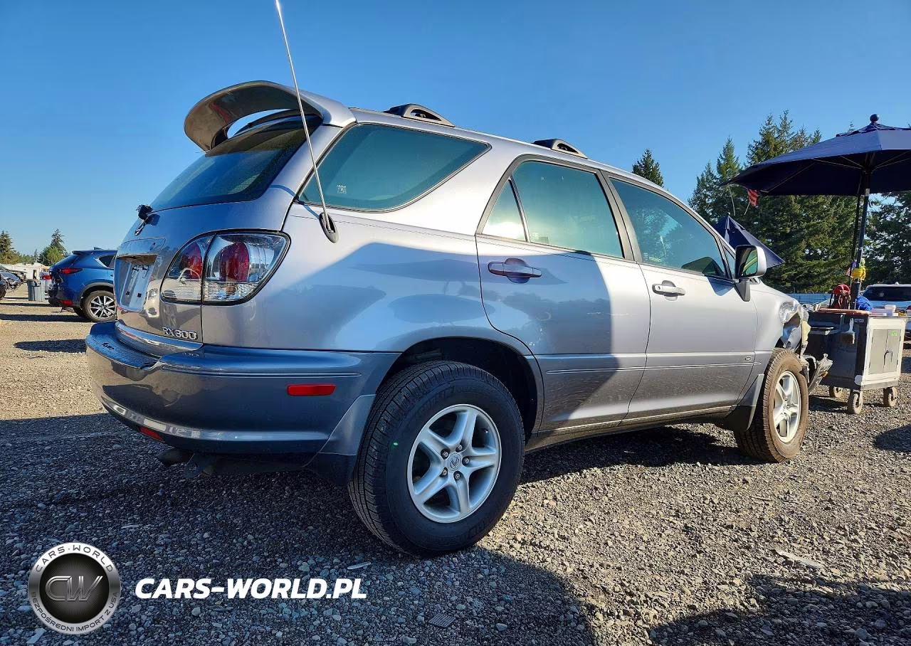 2001 Lexus Rx 300 VIN:JTJHF10U610200924 - 3