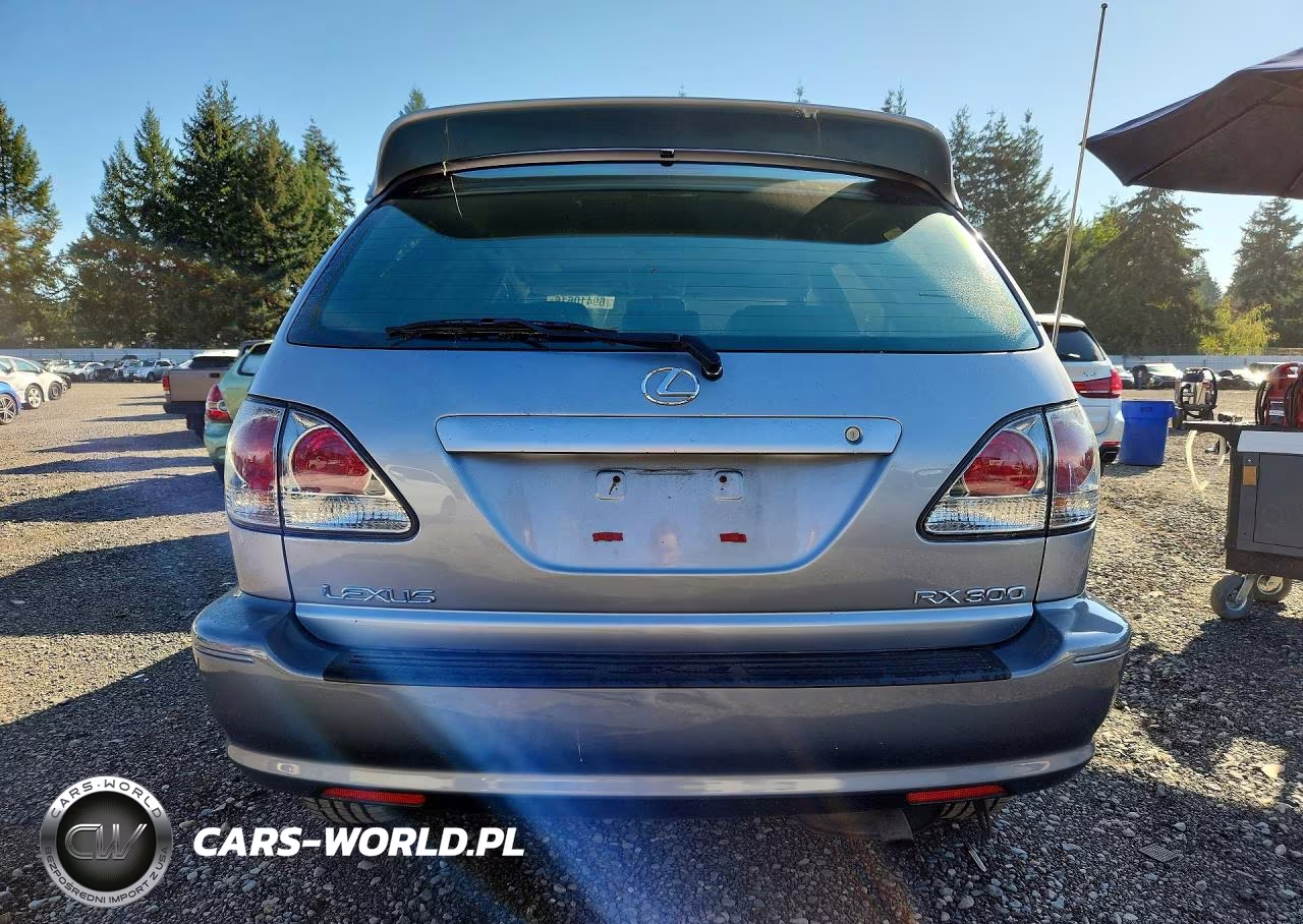 2001 Lexus Rx 300 VIN:JTJHF10U610200924 - 6