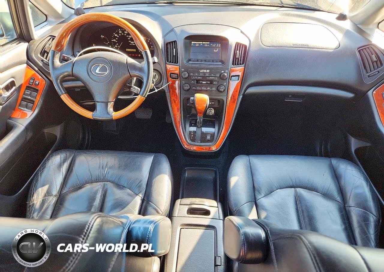 2001 Lexus Rx 300 VIN:JTJHF10U610200924 - 8