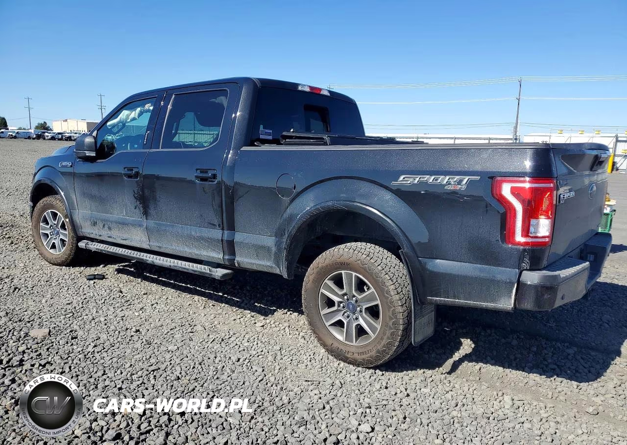 2015 Ford F150 Supercrew VIN:1FTFW1EF3FFA93503 - 2