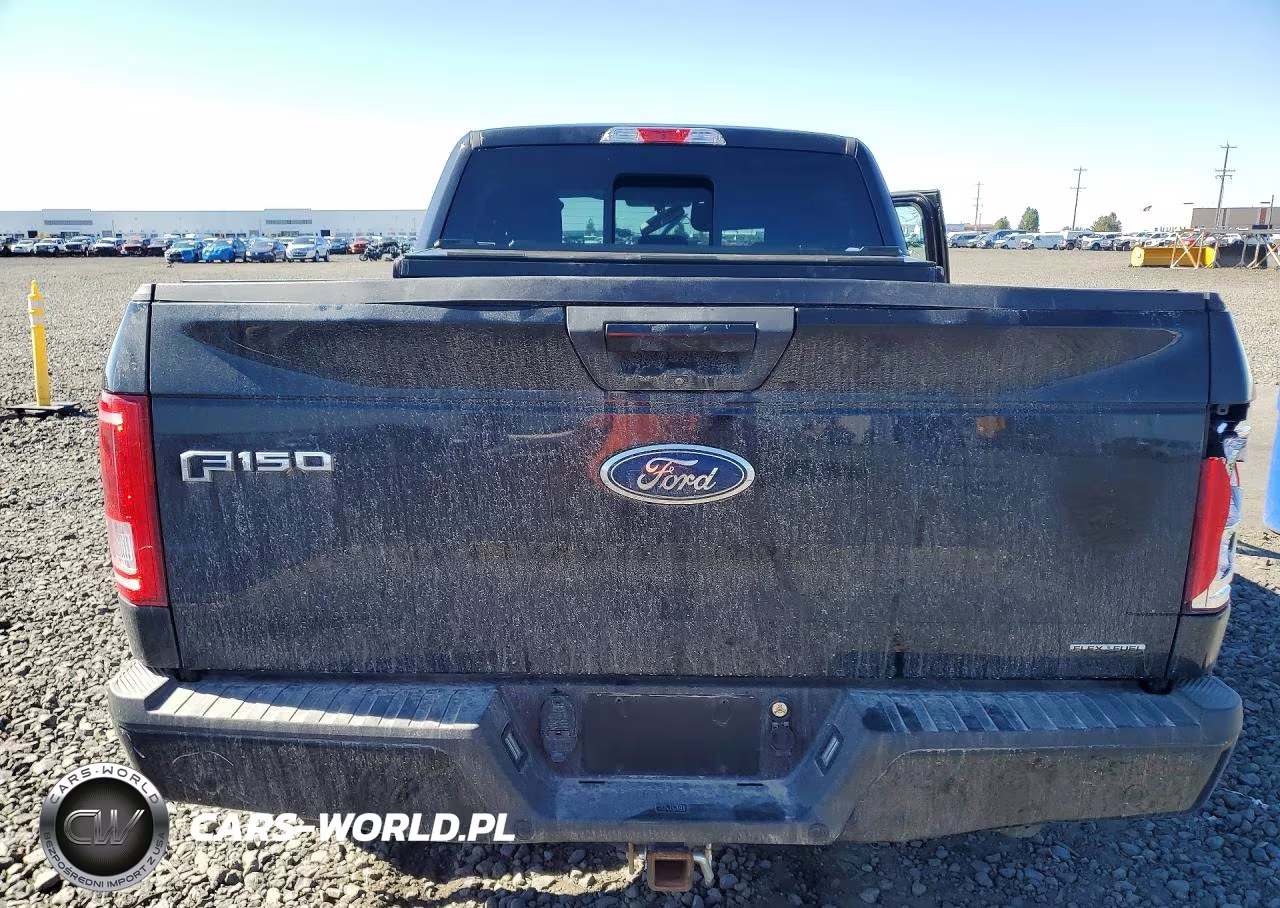 2015 Ford F150 Supercrew VIN:1FTFW1EF3FFA93503 - 6