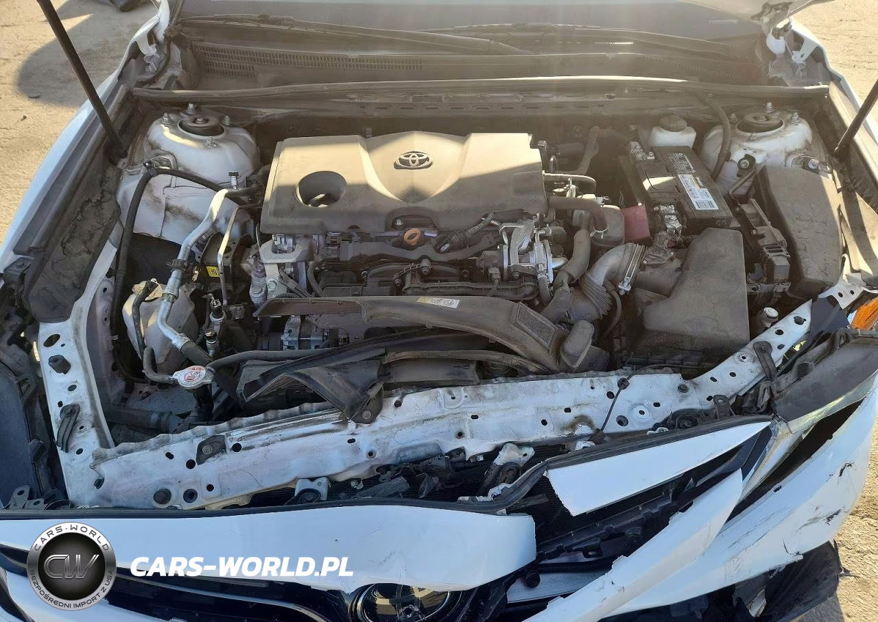 2020 Toyota Camry Le VIN:4T1C11AK5LU922790 - 11