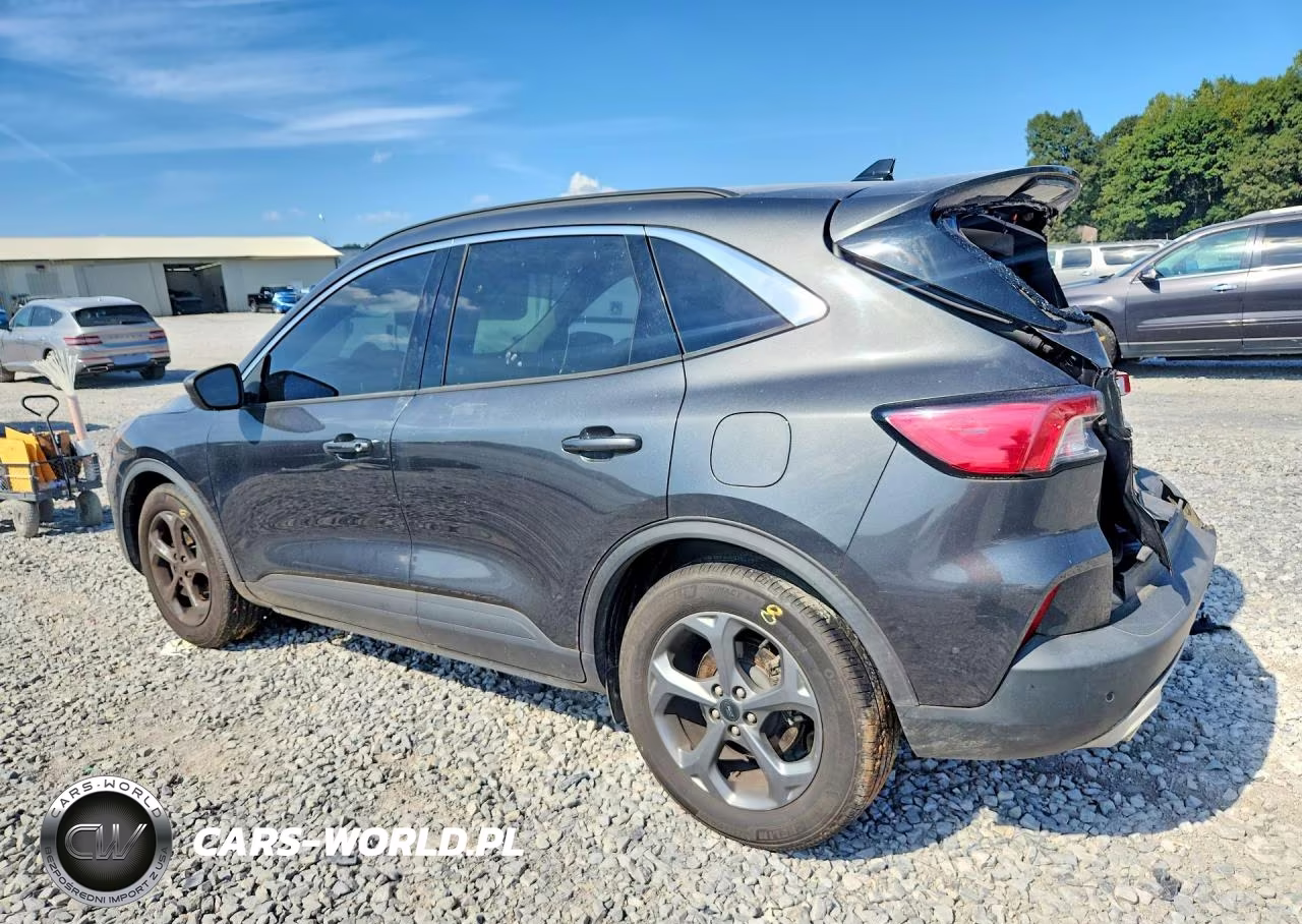 2020 Ford Escape Sel VIN:1FMCU0H69LUA05975 - 2