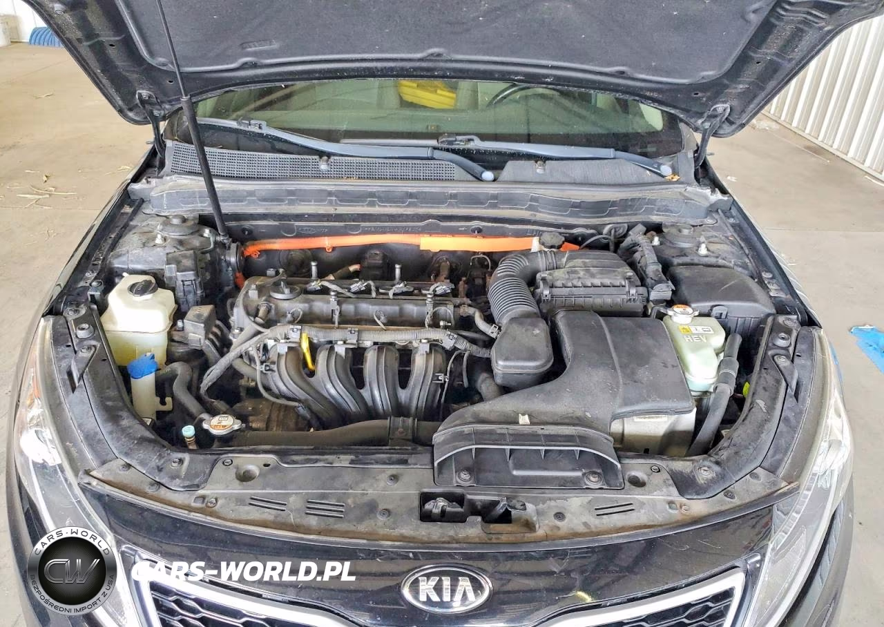 2013 Kia Optima Hybrid VIN:KNAGM4AD4D5039756 - 11