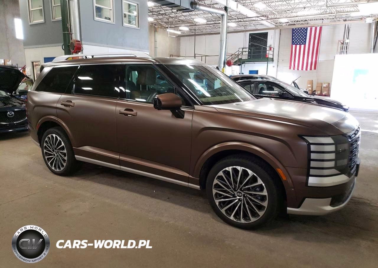 2026 Hyundai Palisade Calligraphy VIN:KM8RMESA0TU081864 - 4