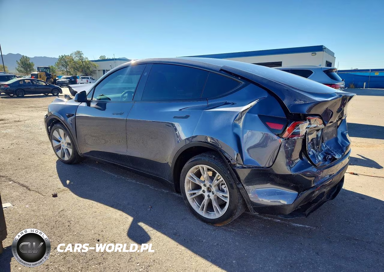 2023 Tesla Model Y VIN:7SAYGDEE8PA191009 - 2